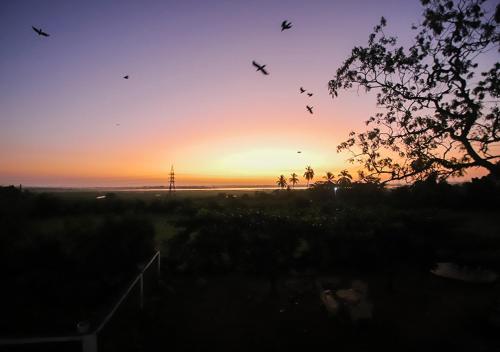 a group of birds flying in the sky at sunset at Birdsong Leisure Resort in Tissamaharama