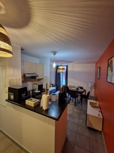 une cuisine et un salon avec une salle à manger dans l'établissement Manel - Appartement T2 Rue st jean le vieux, à Avignon
