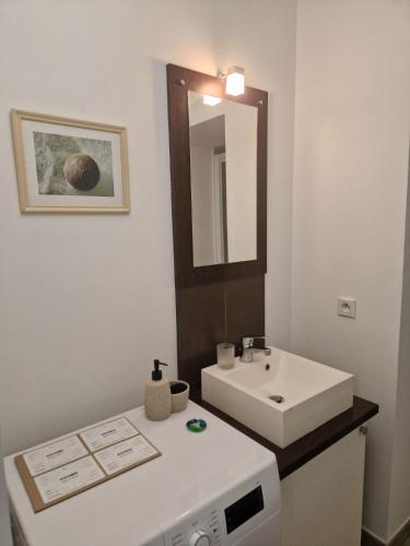 La salle de bains est pourvue d'un lavabo et d'un four micro-ondes. dans l'établissement Manel - Appartement T2 Rue st jean le vieux, à Avignon