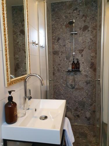La salle de bains est pourvue d'un lavabo et d'une douche. dans l'établissement B&B Mooi Zelhem, à Zelhem