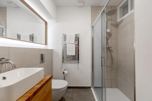a bathroom with a sink and a toilet and a shower at Charming Large Studio in Hampstead in London