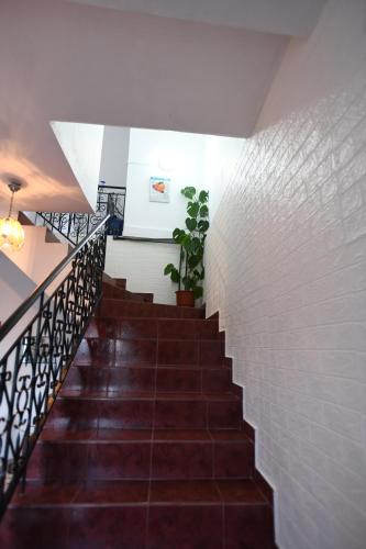 a staircase in a building with a brick wall at Guest House Luli in Berat