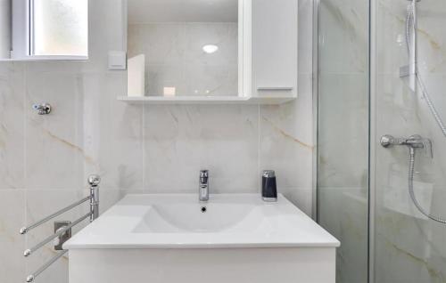 ein weißes Bad mit einem Waschbecken und einer Dusche in der Unterkunft Lovely Apartment In Tribanj With Kitchen in Šibuljina