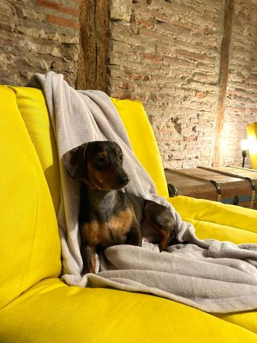 Tu Casa en Logroño II