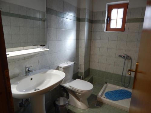 a bathroom with a toilet and a sink and a shower at Παραδοσιακός Ξενώνας Αετορράχης - Aetorrachi's Traditional Guesthouse 