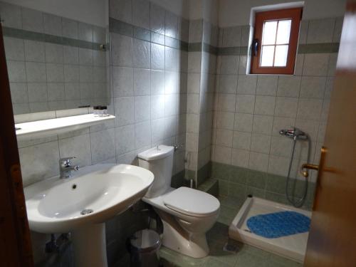 a bathroom with a toilet and a sink and a shower at Παραδοσιακός Ξενώνας Αετορράχης - Aetorrachi's Traditional Guesthouse in Aëtorráchi