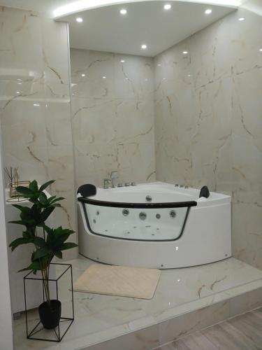 een badkamer met een wit bad en een plant bij Apartmani Sofronic Loznica 2 in Loznica