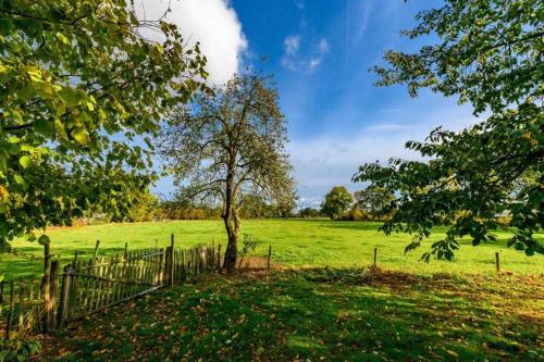 a tree in a field next to a fence at Tinyhouse De Woord in Corle