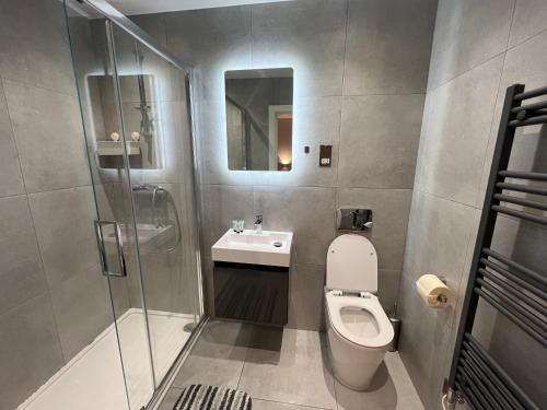 uma casa de banho com um WC, um lavatório e um chuveiro em Blue London Rooftop em Londres