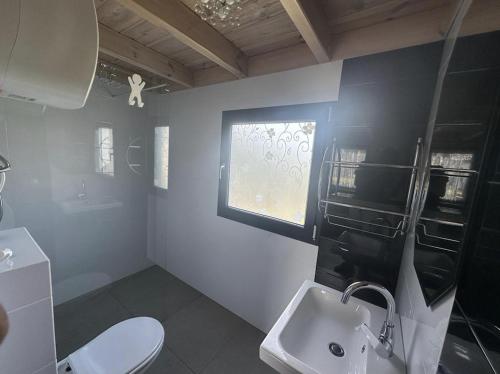 a bathroom with a toilet and a sink and a window at Sosenkowe Zacisze Wiele in Wiele