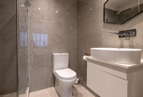 a bathroom with a toilet and a sink and a shower at Cape Diamond Boutique Hotel in Cape Town