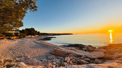 Příroda nedaleko apartmánu