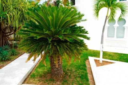 Сад в Hotel Aldea del Bazar & Spa