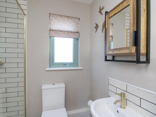 bagno con servizi igienici e specchio di Dol Blodau a Llandrindod Wells