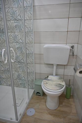 a bathroom with a toilet and a shower at Vesuvius Dream in Boscotrecase
