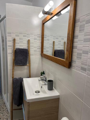 a bathroom with a sink and a mirror at L Abri-côtier Appartements in Saintes-Maries-de-la-Mer