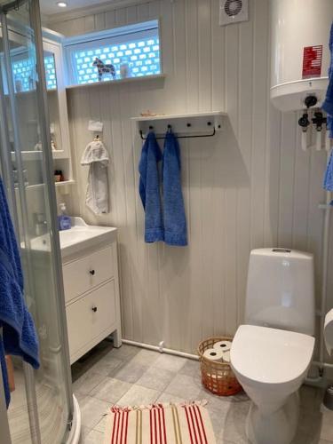 a bathroom with a shower and a toilet and a sink at Stuga i Norra Kvarnviken in Bengtsfors