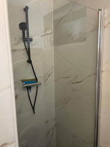a shower with a glass door in a bathroom at Vosseveen 62 in Zelhem