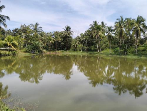 a body of water with palm trees in the background at De'Lakeside musslim's homestay in Raub