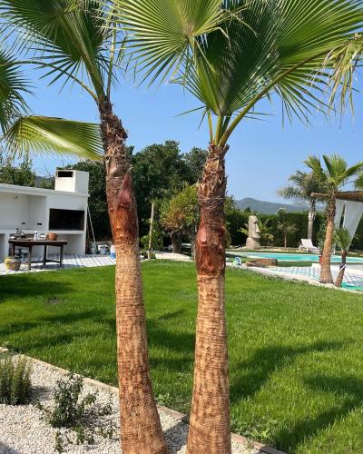 two palm trees in a yard next to a pool at CasaNoa Luxury Villa Bed and Breakfast in Jávea