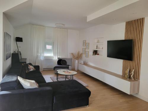 Televízia a/alebo spoločenská miestnosť v ubytovaní Apartman Mirella