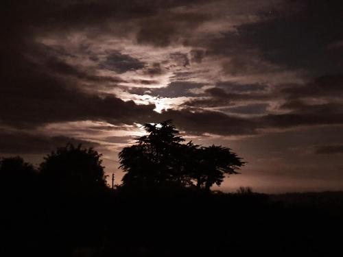 a silhouette of a tree under a cloudy sky at Carlingford Mountain Farm in Dundalk
