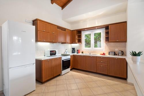 Kuchyň nebo kuchyňský kout v ubytování Eleonas Luxury Homes