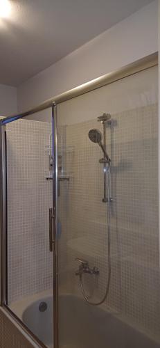 a shower with a glass door in a bathroom at Appartamento 93 di Andrea sonzogni in Castelleone