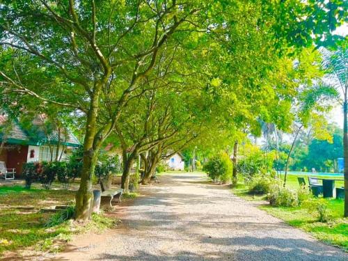 a tree lined path in a park with benches at Crown Holiday Village near Marawila in Nattandiya
