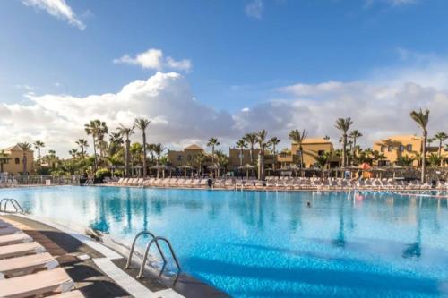 a large swimming pool with chairs and palm trees at Casa Damar in Corralejo