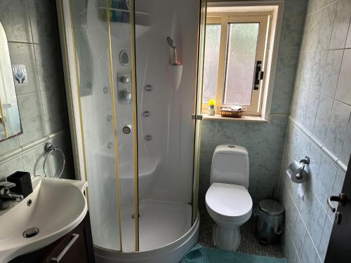 uma casa de banho com um chuveiro, um WC e um lavatório. em Villa Nikitas em Konia