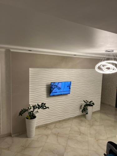 a room with two potted plants on a wall at Holiday house in Vinnytsya