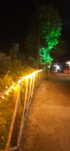a fence with christmas lights in a park at night at mountainfog in Devikolam