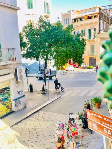 El barrio de los alrededores o un barrio cerca de este hostal o pensión
