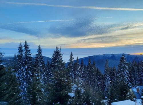 a view of snow covered trees in the mountains at Casa Iarina Rânca in Ranca