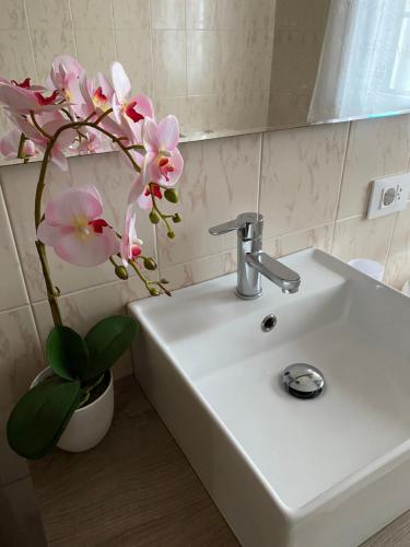 um lavatório de casa de banho com um vaso com flores cor-de-rosa em Casa Coveliño em Poio