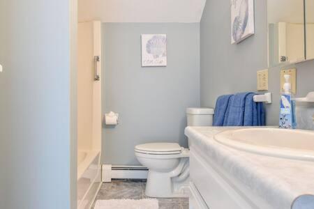 a white bathroom with a toilet and a sink at 400 Yards to the Beach Dogs Welcome in Dennis