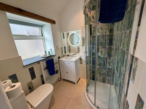 uma casa de banho com um chuveiro, um WC e um lavatório. em Polrunny Farm Seaberry Cottage with a sea view and log burner em Boscastle