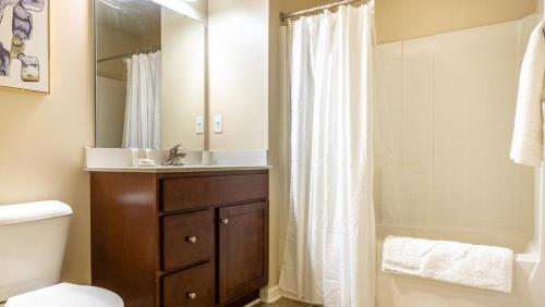 La salle de bains est pourvue d'un lavabo, de toilettes et d'une douche. dans l'établissement Landing Modern Apartment with Amazing Amenities (ID9647X69), à Newport News
