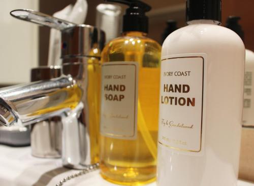 a bottle of hand soap sitting on a sink at Apartamento Centro de Pontevedra in Pontevedra