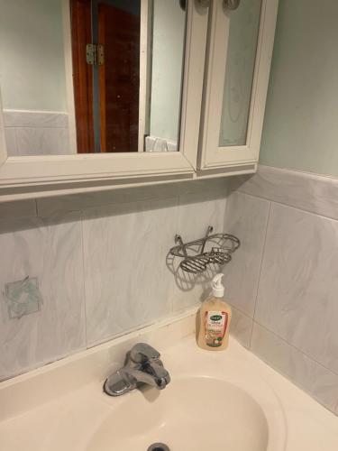 un lavabo con espejo y una botella de jabón. en 24511 149th Road Rosedale, en Rosedale