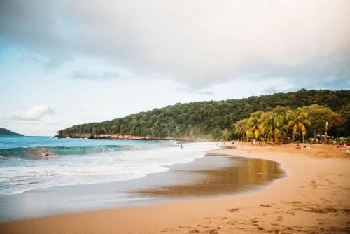 a beach with palm trees and people in the water at Villa L'Artist en bord de mer avec piscine privée in Sainte-Rose