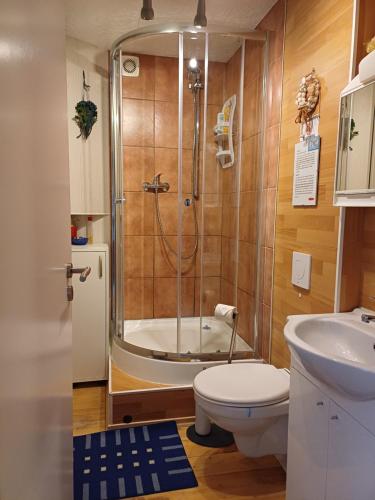 a bathroom with a shower and a toilet and a sink at Bei Mayer's in Ringsheim