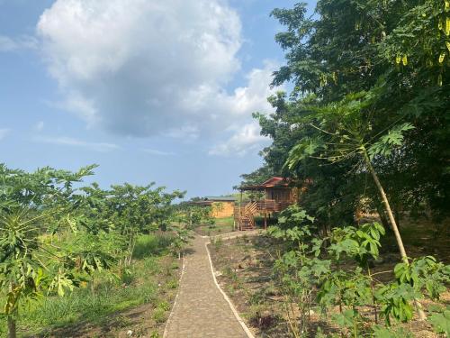 a dirt path in the middle of a field with trees at Monte Mar SãoTomé in M. Peixe