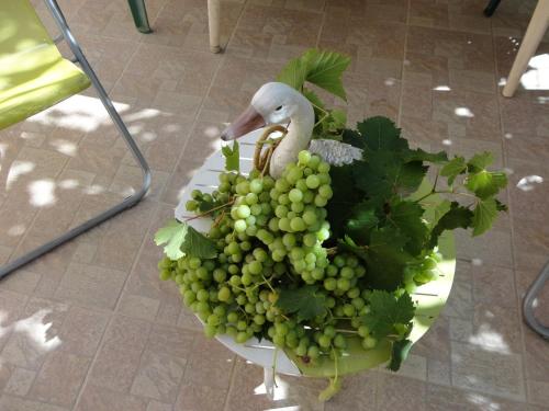 a plate of green grapes with a bird on it at Hôtel Punta e Mare des Chambres ou des Appartements T2 in Cargèse