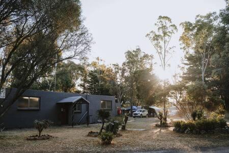 a blue building with the sun shining through the trees at The Traveller Escape at Grampians Edge in Dadswells Bridge