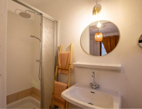 a bathroom with a sink and a mirror at Maison conviviale in Nadaillac