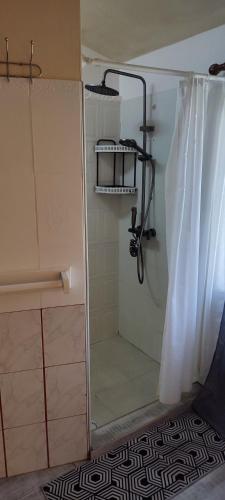 a shower with a shower curtain in a bathroom at villa3tours in Albion