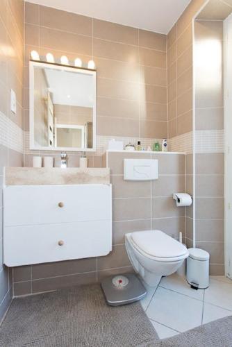 a bathroom with a toilet and a sink and a mirror at Mont Chevalier by Welcome to Cannes in Cannes