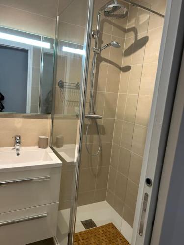 La salle de bains est pourvue d'une douche et d'un lavabo. dans l'établissement Studio Neuf Hyper Centre St Germain - Proche RER, à Saint-Germain-en-Laye